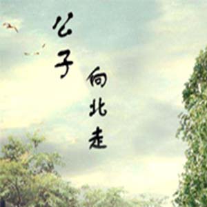 公子向北走钢琴谱