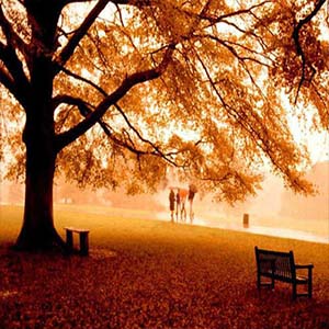 漫步人生路钢琴谱