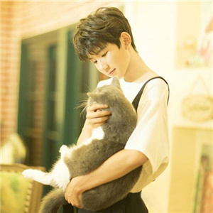 ⲻ⣨TFBOYSԴ