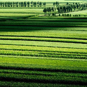 啊中国的土地钢琴谱钢琴正谱