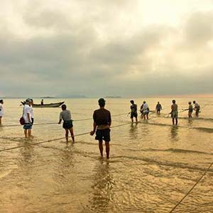 拉网小调钢琴谱