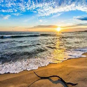 我充满激情钢琴谱