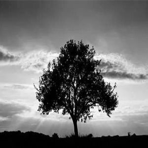 不幸的人生钢琴谱