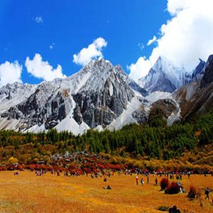 来香巴拉看太阳钢琴谱