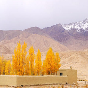 帕米尔，我的家乡多么美钢琴谱