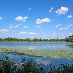 清粼粼的水来蓝莹莹的天钢琴谱