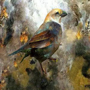 我爱这土地钢琴谱