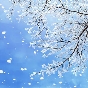 我像雪花天上来钢琴谱