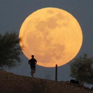 月光的魅力钢琴谱