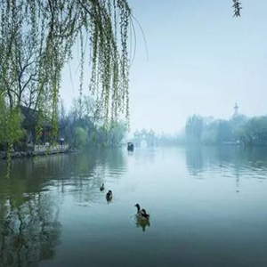 乡音乡情钢琴谱