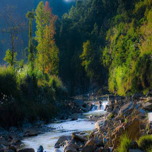 小河淌水钢琴谱