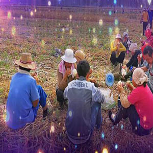 咱老百姓钢琴谱