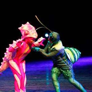 意外的歌钢琴谱