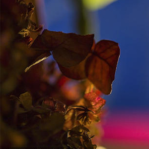 One-Moment-in-Time钢琴谱