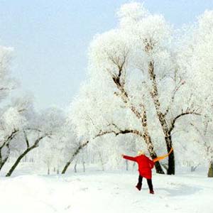 冬天的故事钢琴谱