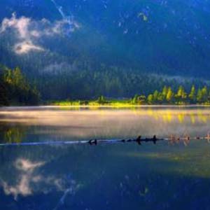 河边美梦钢琴谱