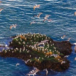 大海一样的深情钢琴谱