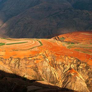 多情的土地钢琴谱