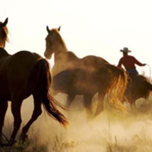 放马山歌钢琴谱