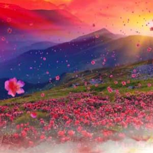 唱支山歌给党听钢琴谱