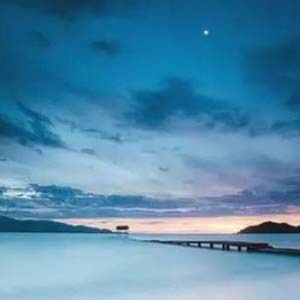 海风阵阵愁煞人钢琴谱