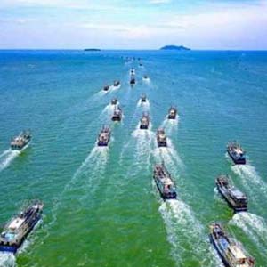 海上女民兵钢琴谱