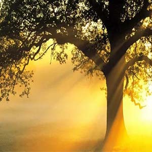 告别时刻钢琴谱