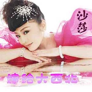 嫁给大西北钢琴谱