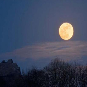 好月亮，你走的这样静悄悄钢琴谱