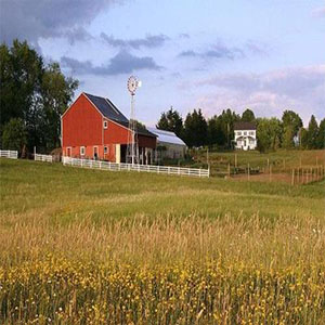 麦克纳有个农场钢琴谱