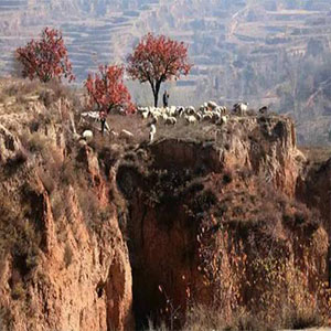 三十里铺钢琴谱