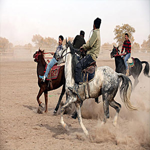 康城赛马歌钢琴谱