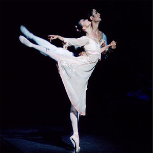 糖果仙子舞曲钢琴谱