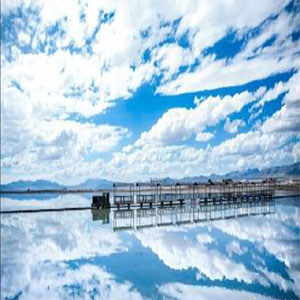 湘伦小雨四手联弹钢琴谱