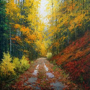 意大利波尔卡钢琴谱