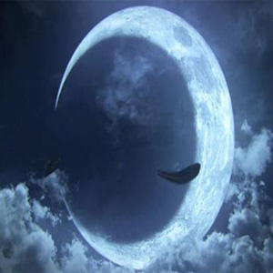 愉快の月光记忆钢琴谱