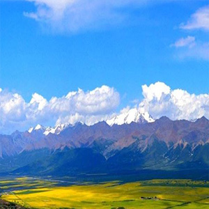 青藏高原钢琴谱