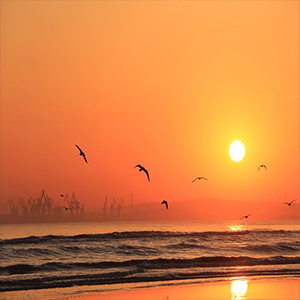 太阳的儿子钢琴谱