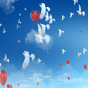 同一首歌钢琴谱