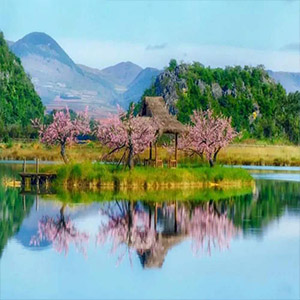 中国的春天钢琴谱