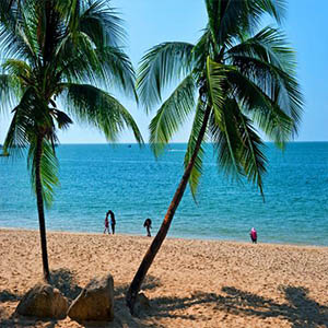 椰岛之恋钢琴谱