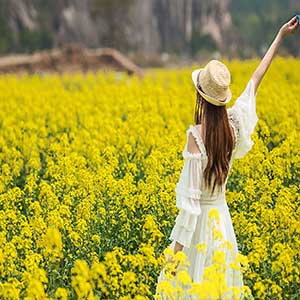 走进春天钢琴谱