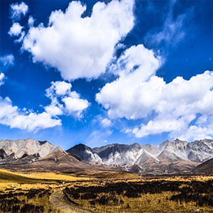 在中国的大地上钢琴谱