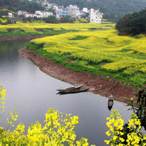 九里里山疙瘩十里里沟钢琴谱