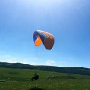 你会爱上它钢琴谱