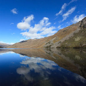 跑马溜溜的山上钢琴谱