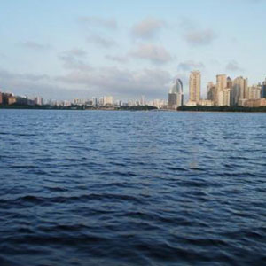 清粼粼的水来蓝莹莹的天钢琴谱