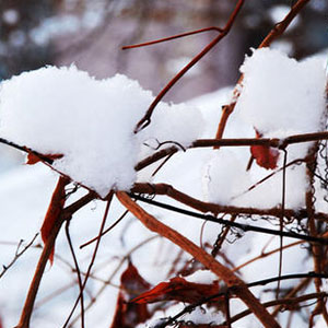 沁园春-雪钢琴谱