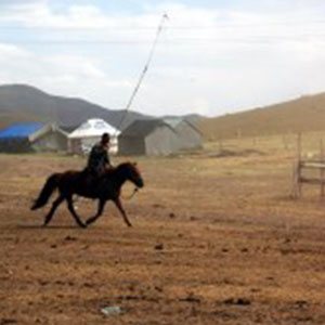 牧马之歌钢琴谱