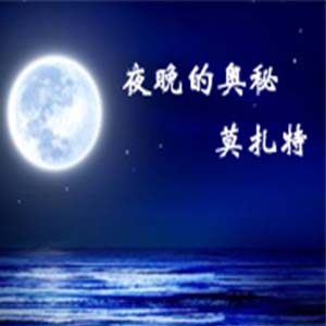 夜晚的奥秘钢琴谱